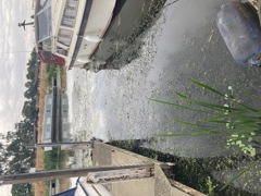 Up to 26' 3" / 8.00m mooring at Torksey Lock L1 Leisure available now